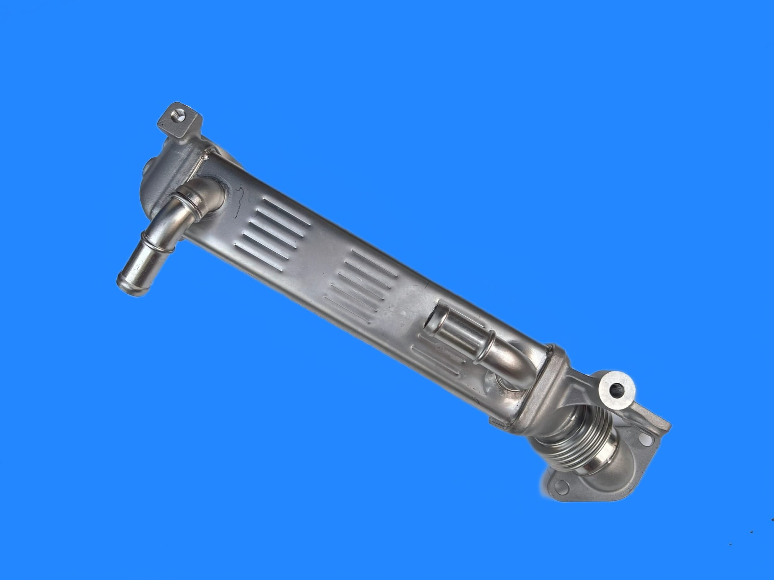 20230930142431 (复制).jpeg